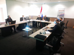 Primera Sesión Ordinaria del Comité Nacional de Facilitación del Transporte Aéreo de Paraguay en formato virtual