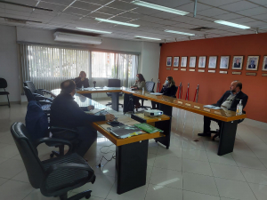 Reunión de trabajo para la preparación de la Nota de Estudio sobre Trata de Personas ante la 41th Asamblea de la OACI.